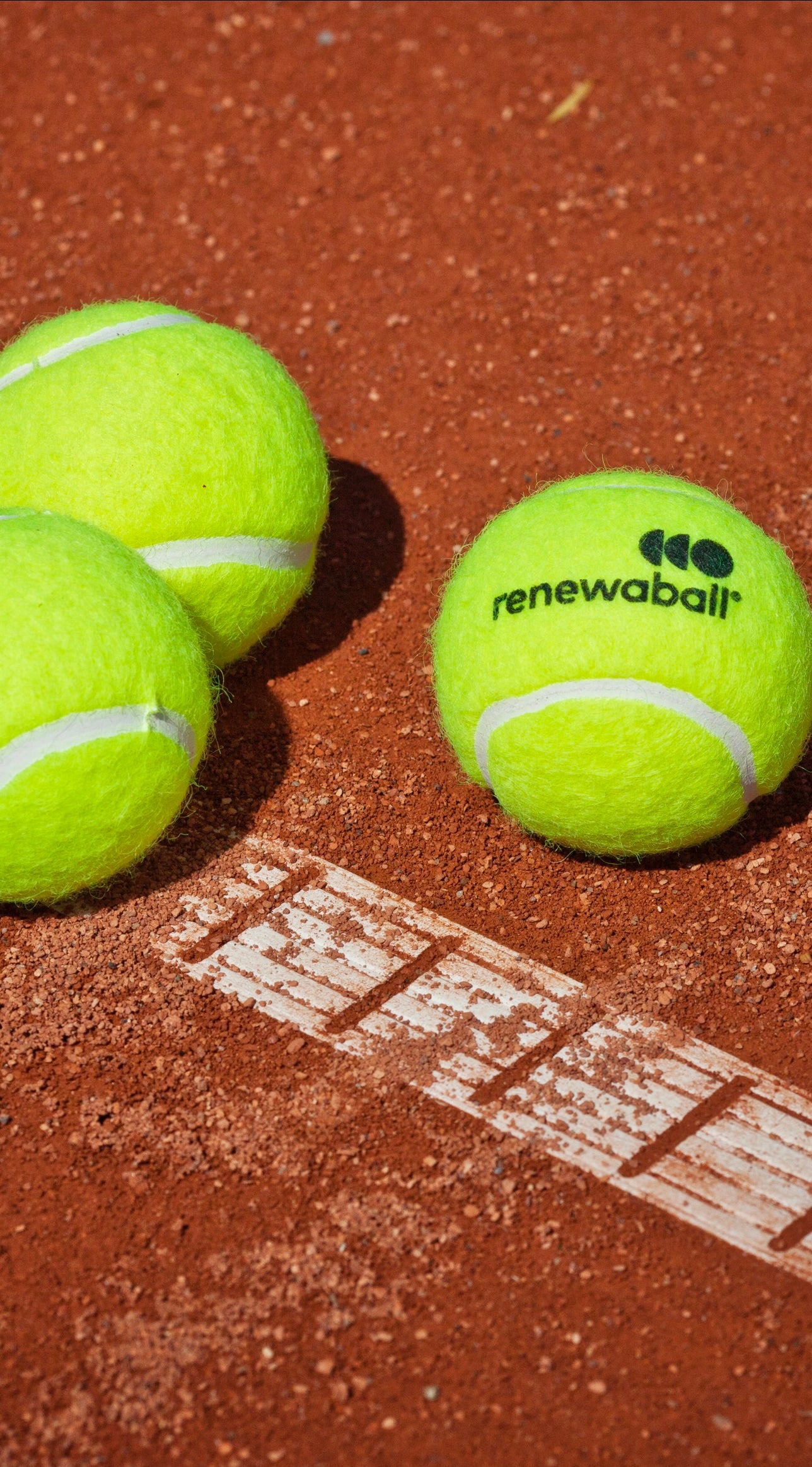 Renewaball b2b webshop